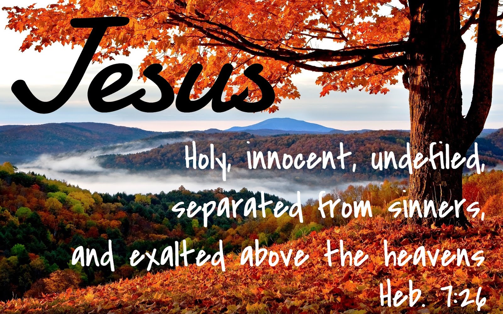 Women in the Word: Our Righteous King { Hebrews 7 }