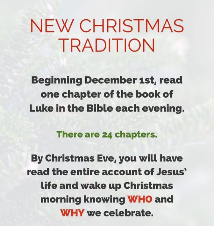 263987174_516842476659712_8869017901352887799_n