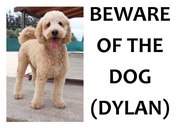 Beware of the dog